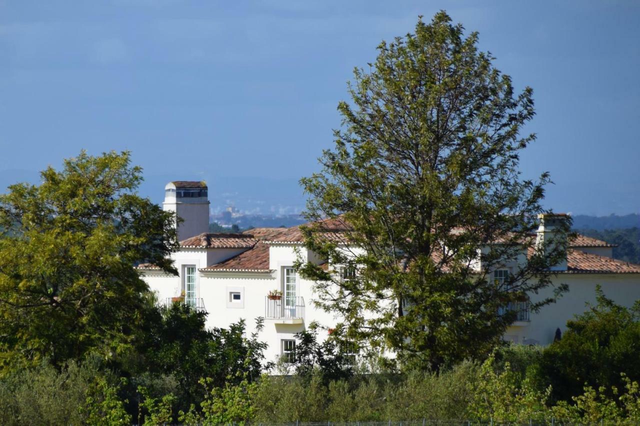 Quinta De Catralvos Hotel Azeitao Exterior photo